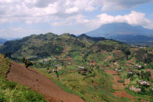 Projekttagebuch Ruanda hügelige Landschaft